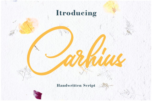 Carhius: A Delicate Script Handwritten Font for Elegant Digital Branding