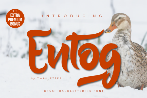 Entog Font: A Thick Lettered Script Handwritten Typeface for Brand Warmth