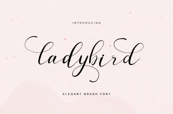 Ladybird: A Delicate Handwritten Font for Elegant Branding