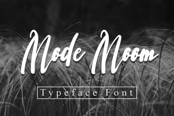 Mode Moon Font for Small Business Branding