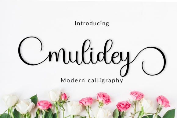 Mulidey: A Premium Script Handwritten Font for Scroll-Stopping Brand Content
