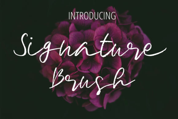 Signature Brush: A Delicate Handwritten Font for Real Business Branding